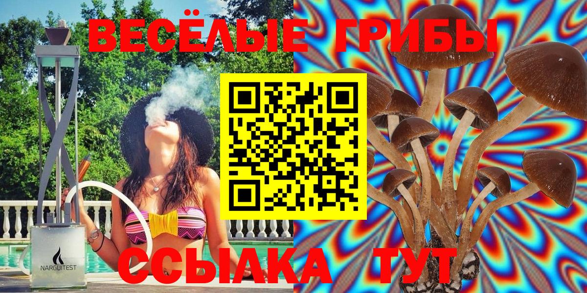 Галлюциногенные грибы Psilocybine cubensis  Вход с VPN  Галлюциногенные грибы Cubensis  Энгельс 