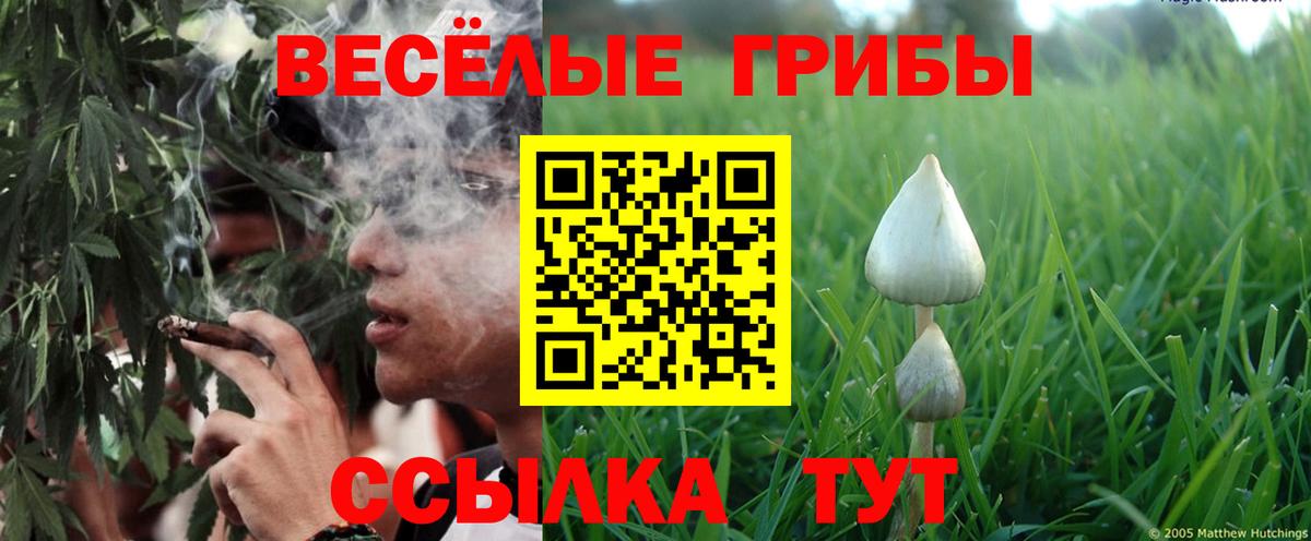 Галлюциногенные грибы Cubensis Энгельс